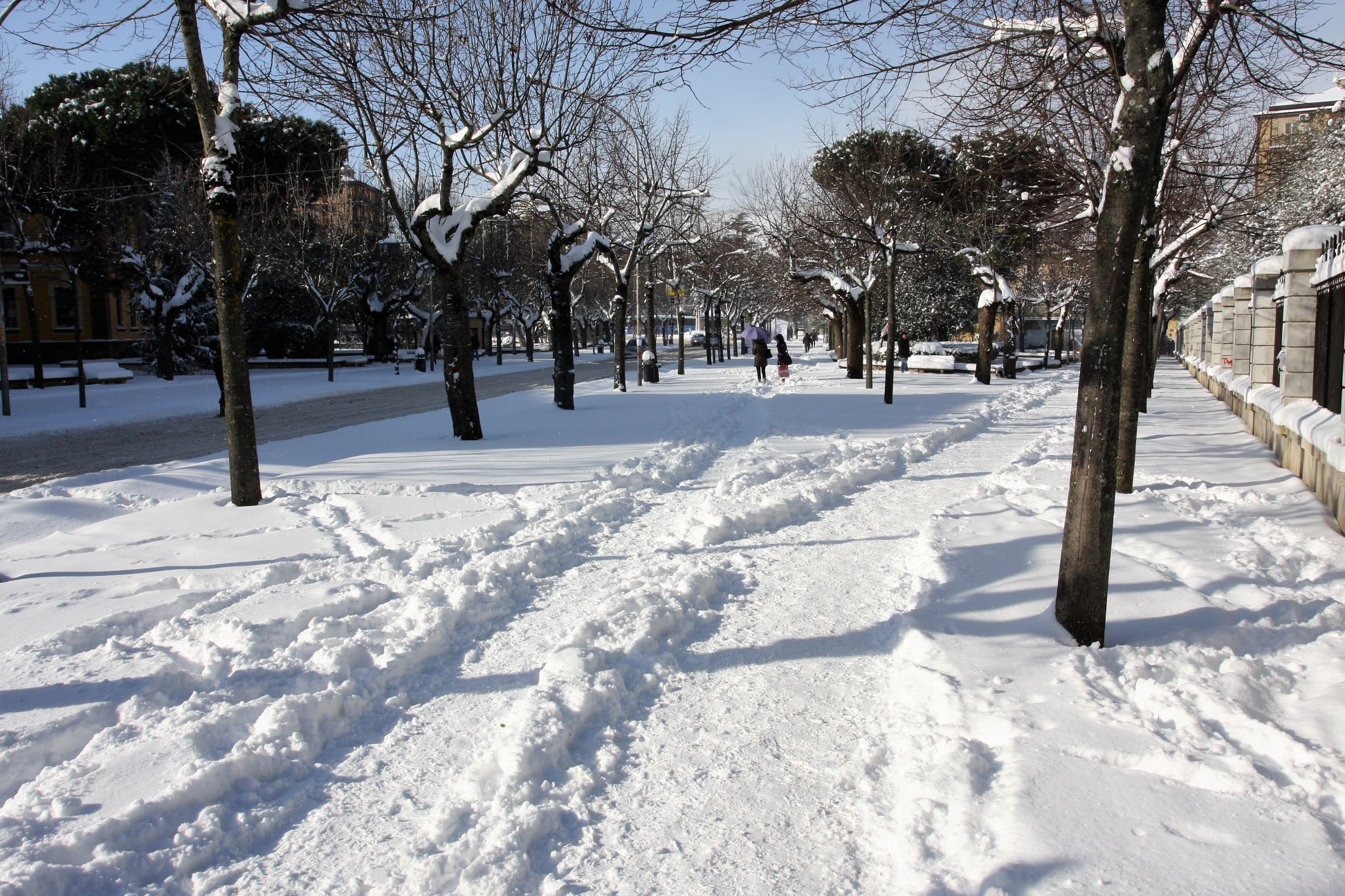 Gargano e Capitanata sommerse dalla neve i video e le foto più belle