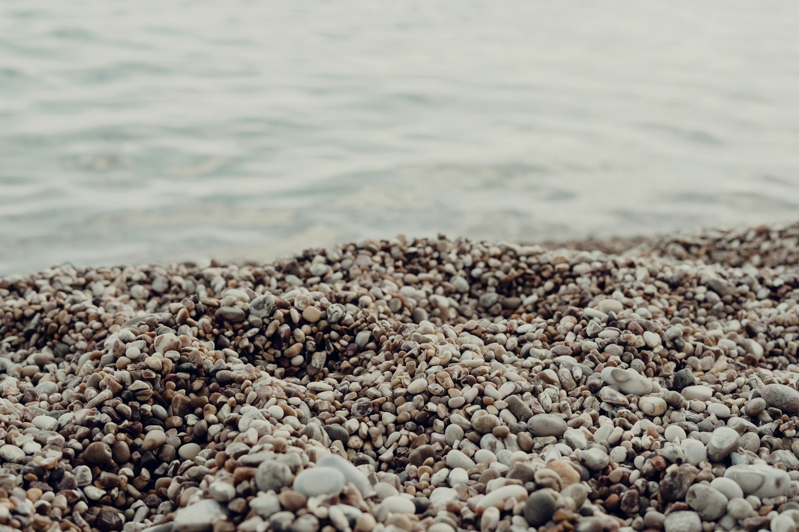 brown and white pebbles near body of water during daytime